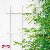 BELLISSA potporanj za cvijeće (D x Š: 150 x 75, Debljina materijala: 5 mm, Broj podupirača: 5, Bijele boje) Cijene