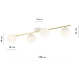  plafonsko svetlo splendi 4xE14/10W/230V bela/zlatna | Eponuda.com