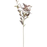 Atmosphera UMJETNO CVIJEĆE EUKALIPTUS JAMES 103CM PES/PE ZELENA | shoptok.hr
