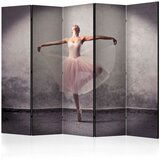  Paravan u 5 dijelova - Classical dance - poetry without words II [Room Dividers] 225x172 | shoptok.hr