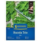 KIEPENKERL Zelenjavna semena Rukola (Eruca sativa, Čas žetve: April) Cene