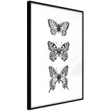  Poster - Butterfly Collection III 30x45 | shoptok.hr