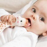 Vulli® darilni paket ob rojstvu žirafa sophie (grizalo in barvni obroček) | Shoptok.si