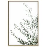  Slika - Eucalyptus Parvifolia (1 Part) Vertical 40x60 | shoptok.hr