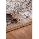 Conceptum Hypnose tepih (200x290) amasra P9086 beige | ePonuda.com