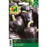 AUSTROSAAT Vijolična paprika "Oda" Cene