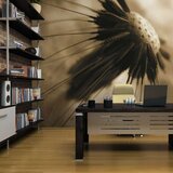  Tapeta - dandelion - sepia 250x193 Cijene
