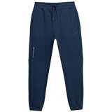 4f Hlače 4FSS23TTROM137GRANAT Cene