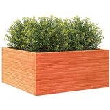 vidaXL vrtno cvetlično korito voščeno 100x100x46 cm trdna borovina, (21266424) | Shoptok.si