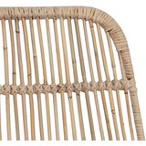 Barska stolica 2 pcs Prirodna 44 x 55 x 109 cm Ratan i Čelik | shoptok.hr