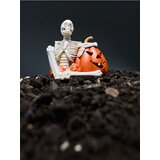 Sinsay LED Halloween dekoracija u obliku kostura i bundeve Cijene