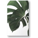  Slike na platnu biljke 010 (moderne slike na platnu) | ePonuda.com