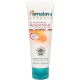 Himalaya Herbals gentle exfoliating apricot scrub Cene