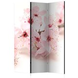  Paravan u 3 dijela - Cherry Blossom [Room Dividers] 135x172 | shoptok.hr