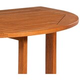Gardenson Vrtna Zložljiva Miza Rebel, 90x72x60cm, Masivno | Shoptok.si