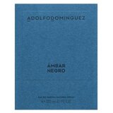 Adolfo Dominguez Ámbar Negro parfemska voda za muškarce 120 ml | shoptok.hr