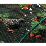 Nortene Mreža za zaščito pred pticami Birdnet (2 x 5 m, zelena) Cene