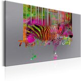  Slika - Code of Zebra 60x40 Cijene