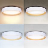  Brilagi -LED prigušiva svetiljka LARIOS LED/60W/230V 3000-6500K prečnik 49 cm bela + daljinski upravljač | Eponuda.com