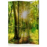 Artgeist Paravan Forest Rays, Enostranski, 3-Delni | Shoptok.si