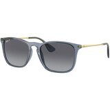 Ray-ban rb4187-6592t3 54 | Eponuda.com