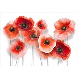  Tapeta - Nine poppies 100x70 | shoptok.hr