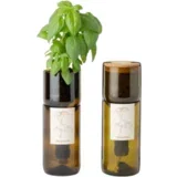 Grow Bottle "Bazilika" - 1 k.