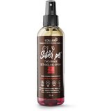 Silver pet dvofazni sprej za rasčešljavanje i sjaj dlake za pse, 200ml | ePonuda.com