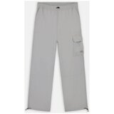 Dickies JACKSON CARGO W ULTIMA Siva Cijene