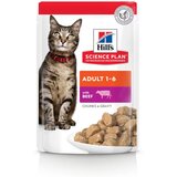 Hill’s Hill’s Science Plan Adult Govedina 85g | Eponuda.com