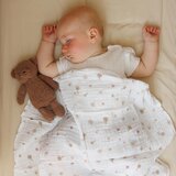 BabyOno Tetra plenice Muslin Medo v avtu, bež | Shoptok.si