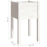 vidaXL Vrtno cvetlično korito 2 kosa belo 40x40x70 cm trdna borovina | Shoptok.si