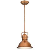 Westinghouse 6308440 - visilica na šipci boswell 1xE27/60W/230V Cene