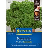 KIEPENKERL Peteršilj "Afrodite" - semenska ploščica - 1 pkt. | Shoptok.si