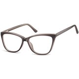 Berkeley Naočare CP115A | ePonuda.com