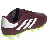 Adidas Nogomet Copa Pure 2 Club Fxg Jr pisana | Shoptok.si