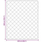  Ljetni pokrivač Crna 220 x 260 cm Mikrofibra i teddy flis | shoptok.hr
