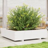 Maison Chic Vrtno cvetlično korito - Cvetlični Lonec belo 100x100x26,5 cm trdna borovina, (21790339) | Shoptok.si