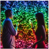 TWINKLY PAMETNE LUČKE - STRING | Shoptok.si