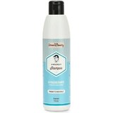 Green & Beauty Man Shampoo Hirse #Rigenerante Cene