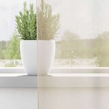 vidaXL Voile zavjese s gornjim jezičcima 2 kom krem | shoptok.hr