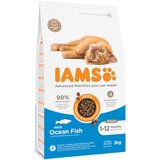 IAMS for Vitality Kitten s morskom ribom - 3 kg | shoptok.hr