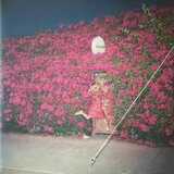  feist - pleasure | Eponuda.com