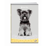 Elisa zvezek Sweet Pets, A4, mali karo | Shoptok.si