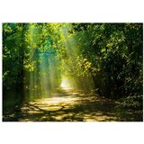  Tapeta - Road in Sunlight 100x70 | shoptok.hr