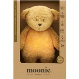 Bear 2.0 Organic Honey ninica z melodijo 1 kos
