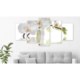 Slika - Wonderful Orchid (5 Parts) Wide 100x50 | shoptok.hr