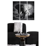 Wallity MDF117747946 multicolor decorative mdf painting (3 pieces) | ePonuda.com