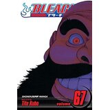 VIZ Media Tite Kubo - Bleach, Vol. 67 | Eponuda.com