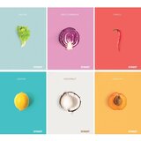  Bilježnica Street Fresh A4 karo 5 mm | shoptok.hr
